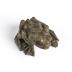 Grenouille